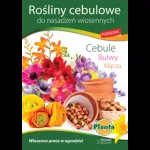 Rośliny cebulowe do nasadzeń wiosennych