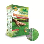 Trawa Trawnik Regeneracyjny