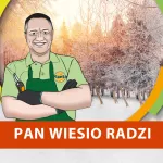 Zadbaj o trawnik pod śniegiem