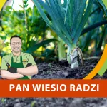 Kiedy siać pora