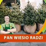 Czym zabezpieczyć donice z roślinami na zimę?