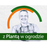 Zapraszamy do oglądania